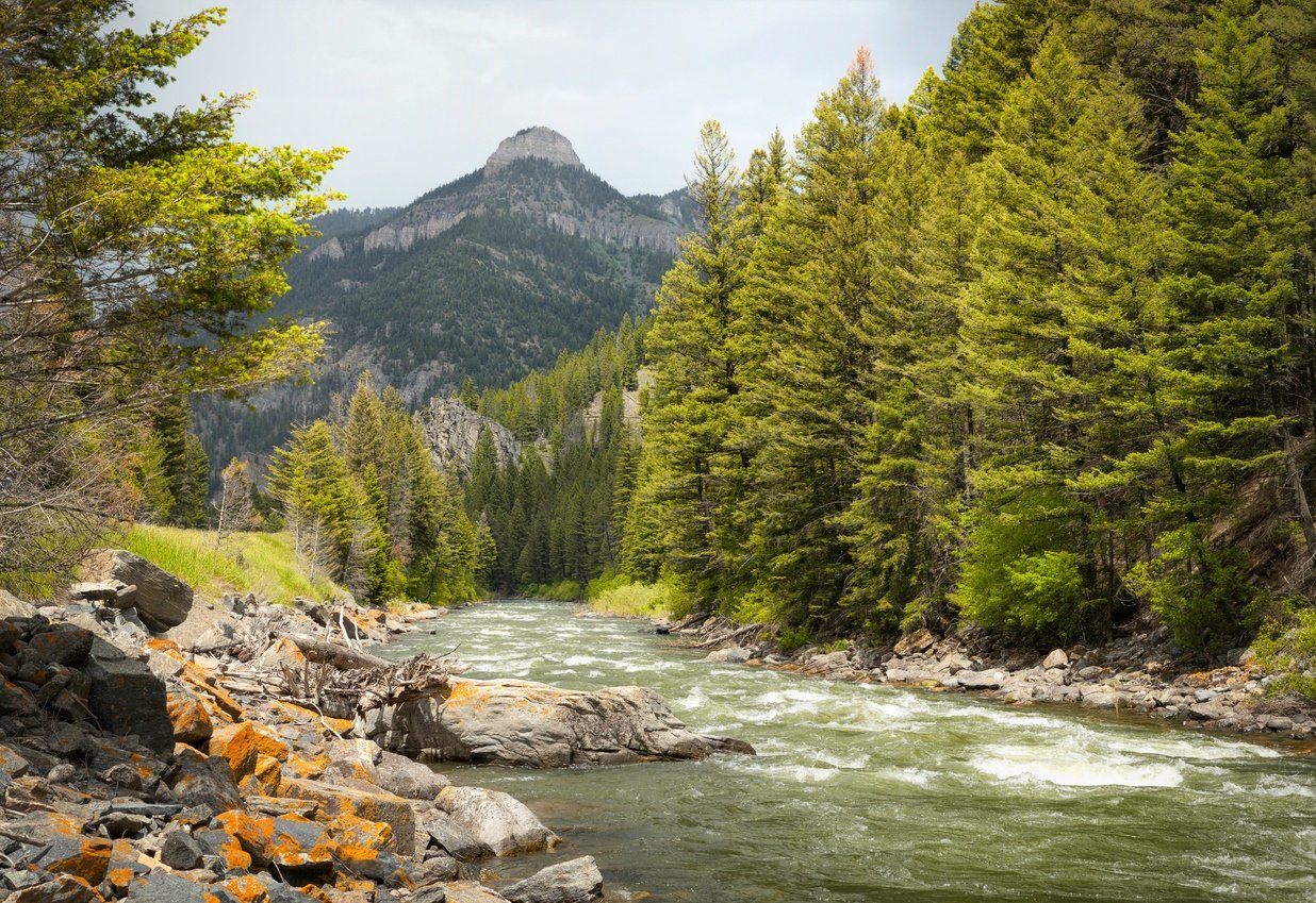 gallatin-river.jpg