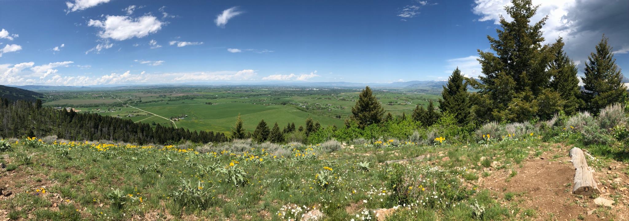 Triple Tree Trail
