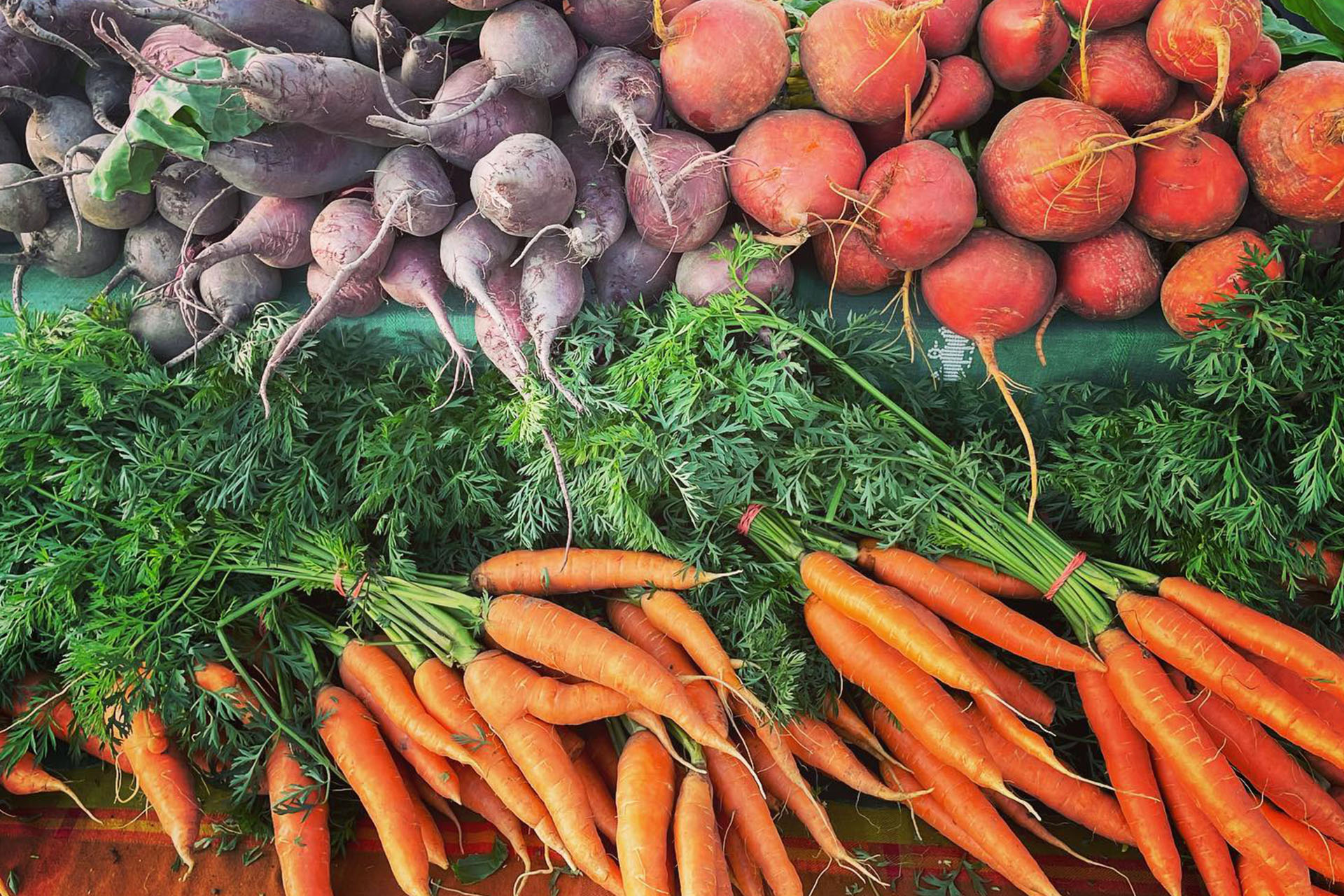 Close up of carrots & radishes in a farmers market booth