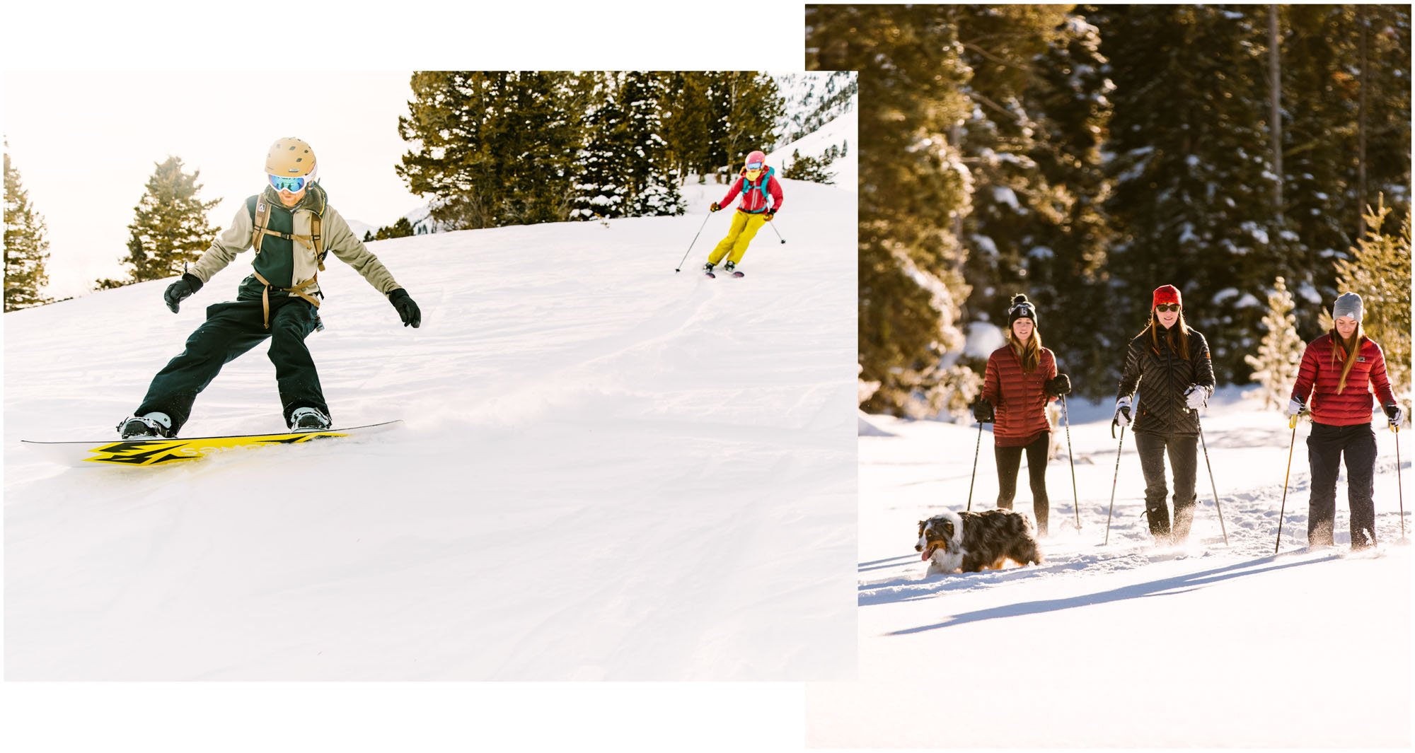 Lady Snowboarding and a group out cross-country skiing Lady Snowboarding and a group out cross-country skiing