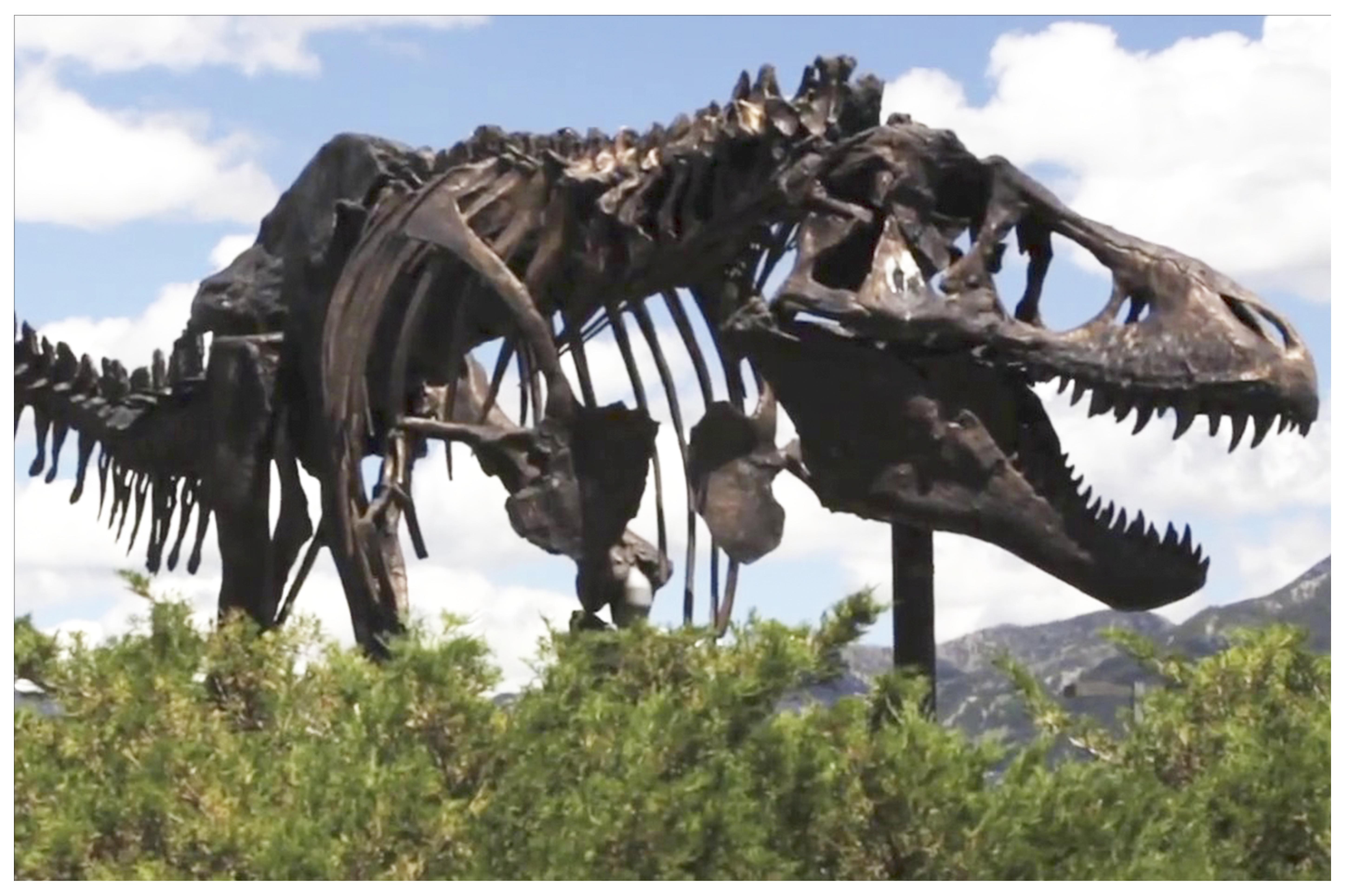 dino_c