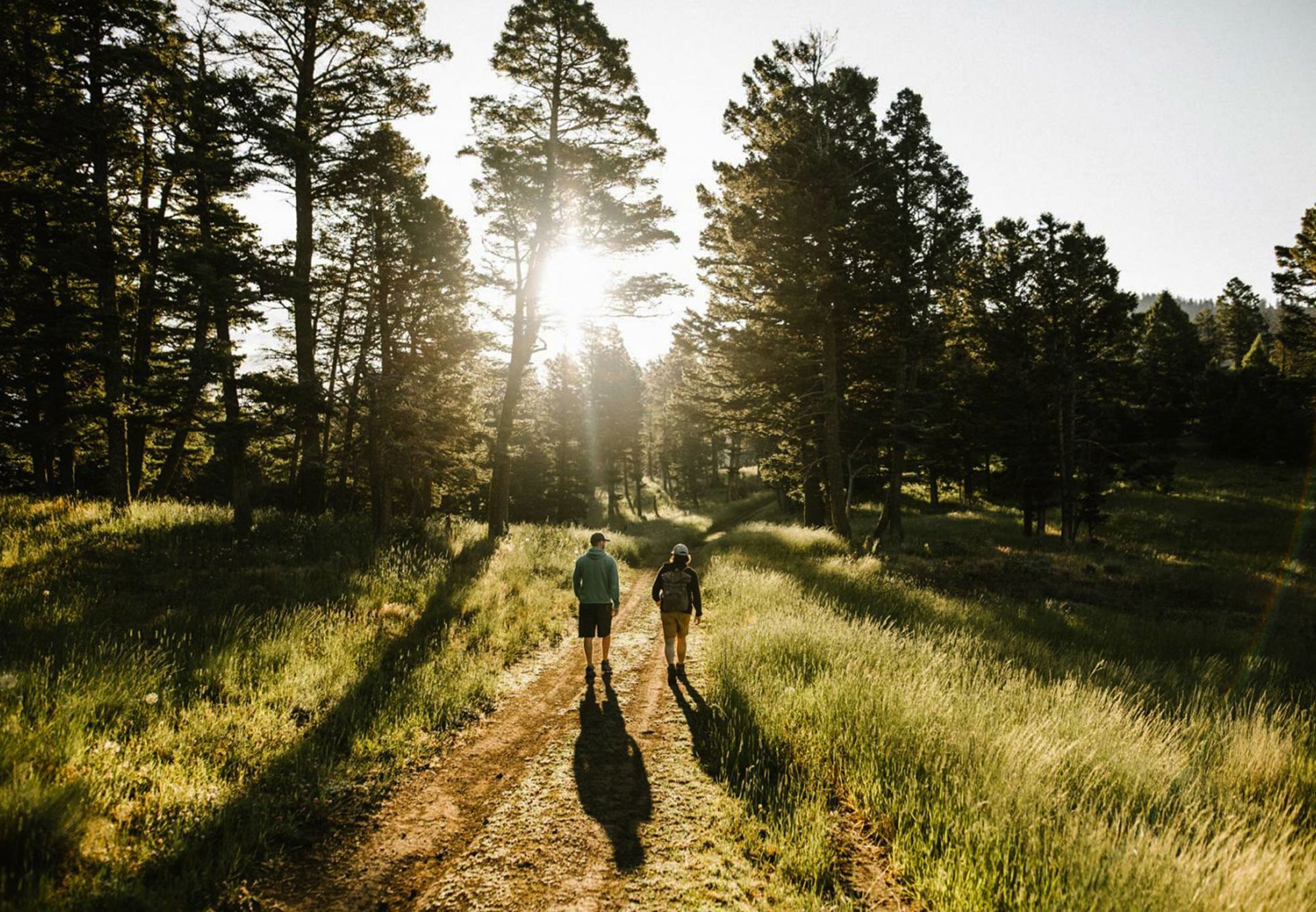 hiking-bozeman