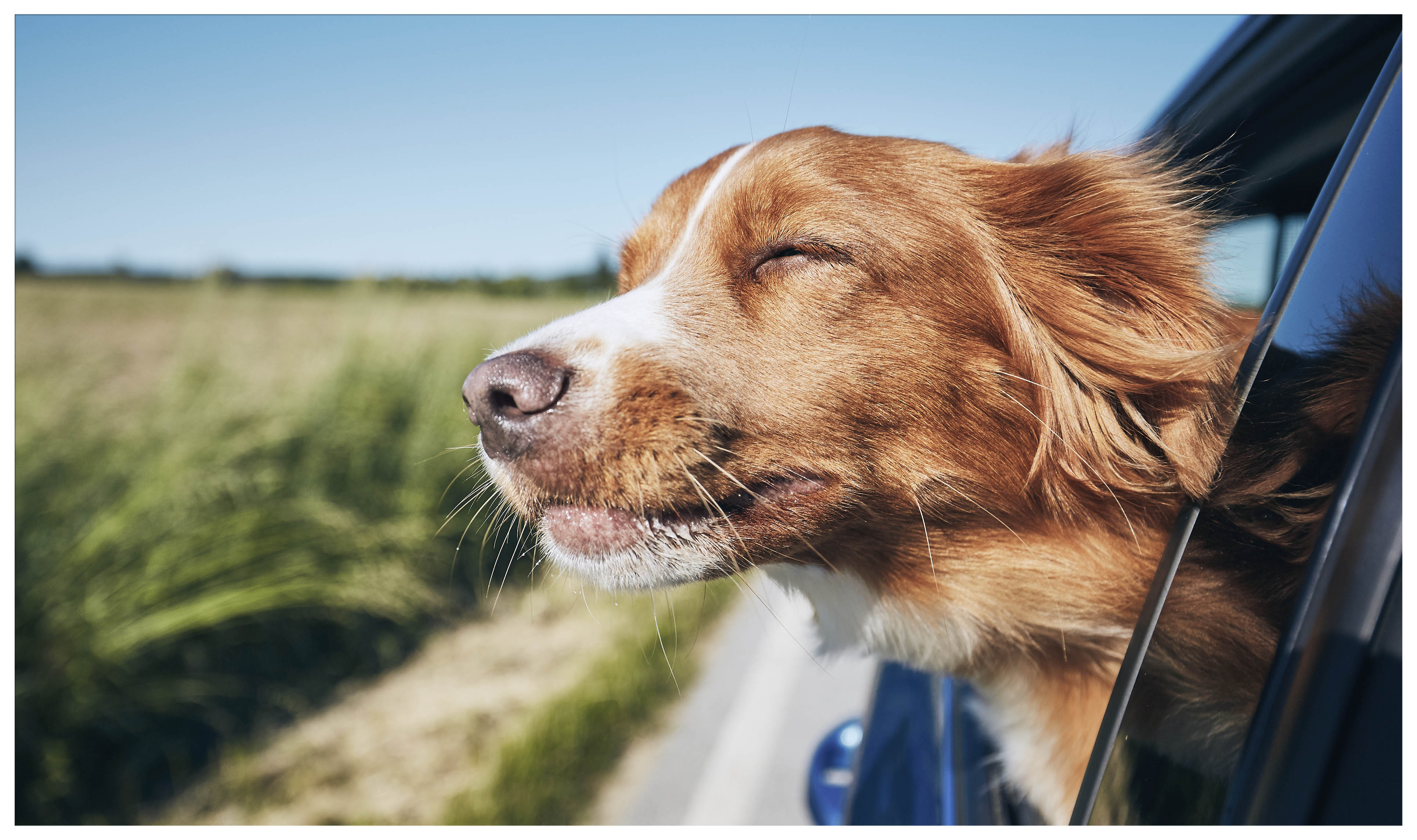 iStock-1155030342_c