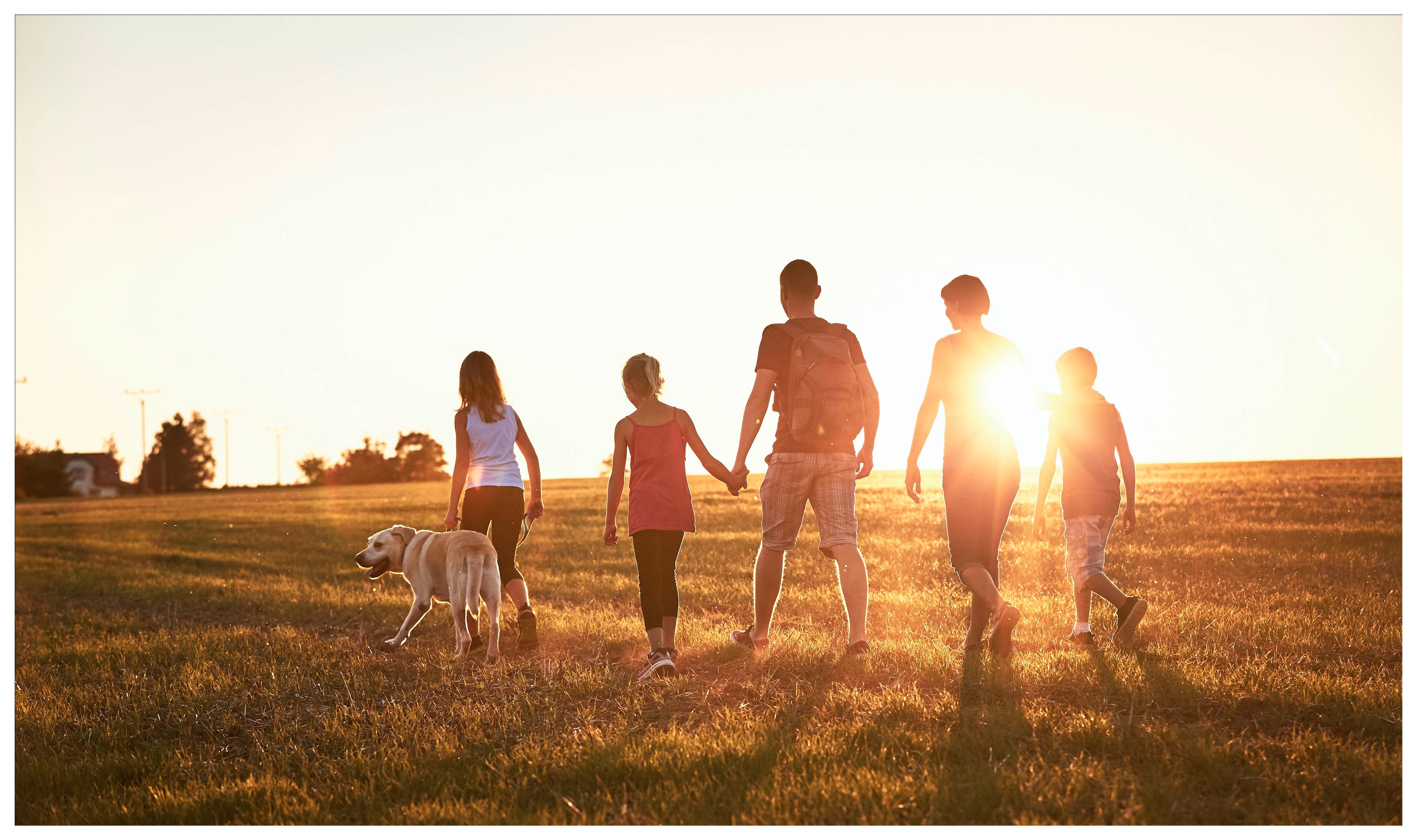 family walking into a sunset with their dog