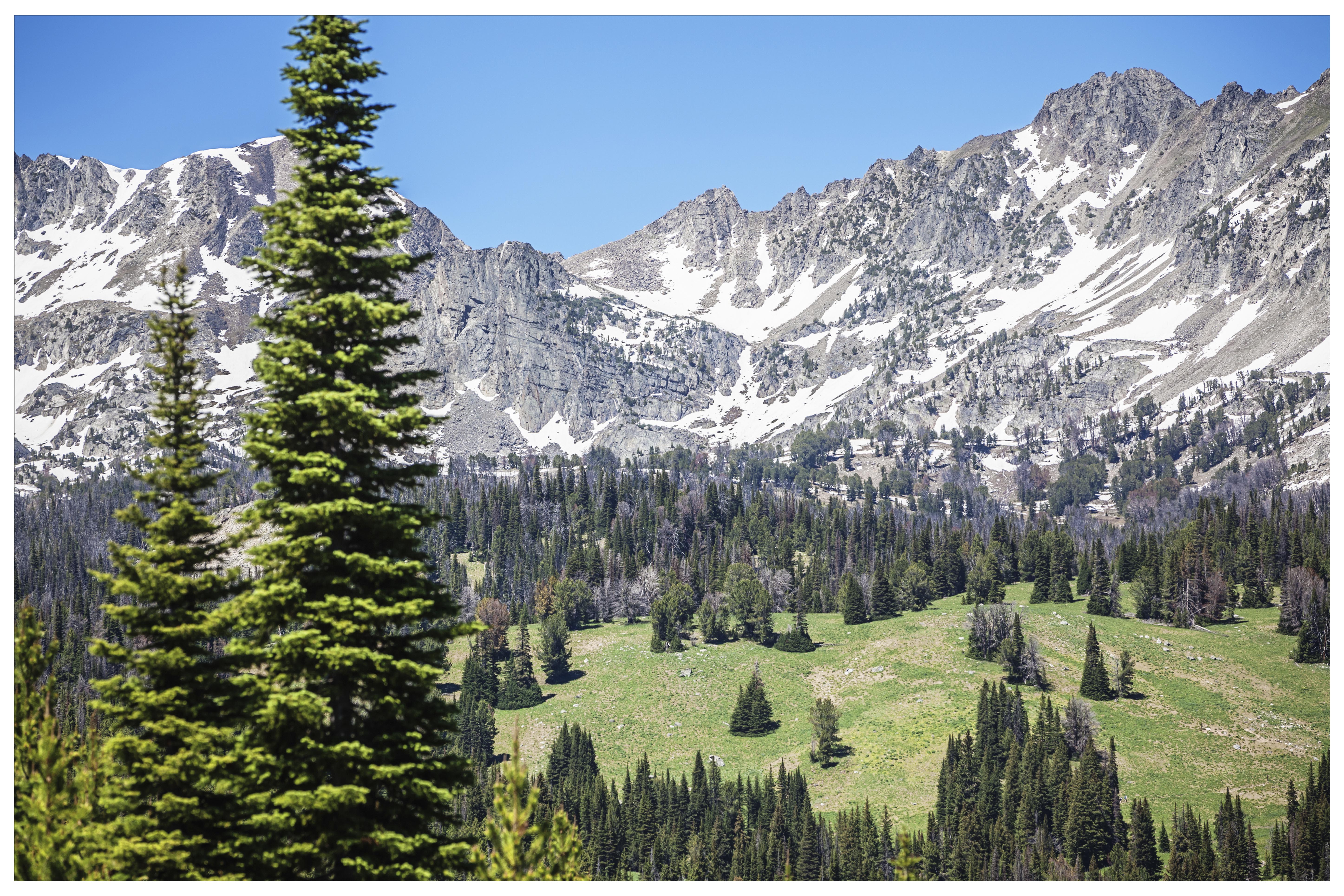 iStock-486977961_c