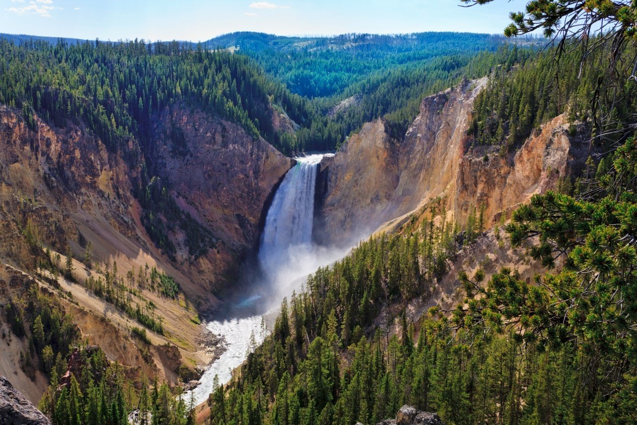 Yellowstone Falls